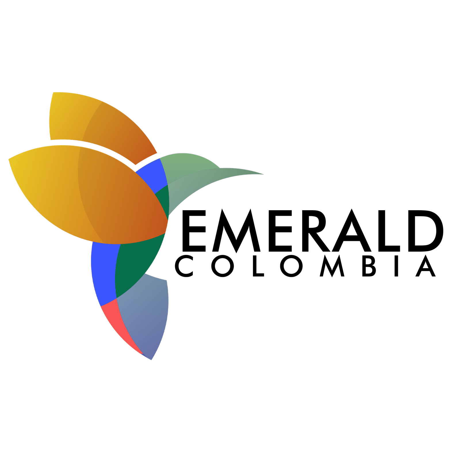 logo text negro